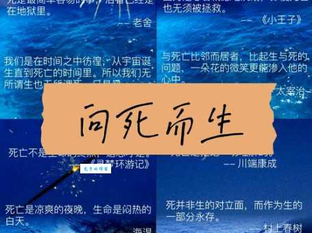 死得其所的所是什么意思 原来是指这个意思