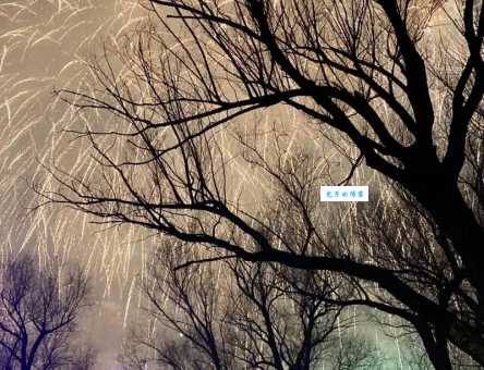 朽木生花的意思是什么 原来枯木也能开花