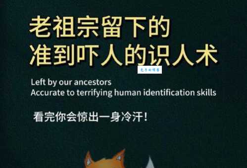 迎头赶上什么意思原来是指快速追上前面的人