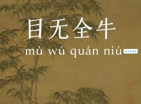 目无全牛成语的意思是什么新手必看解析