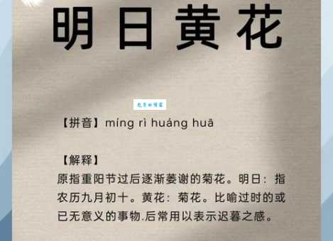 明日黄花的意思解析别再误用这个成语了
