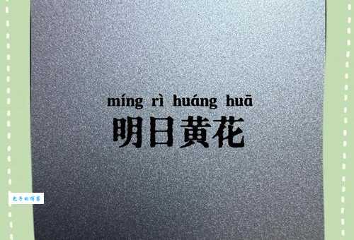 明日黄花的意思解析别再误用这个成语了