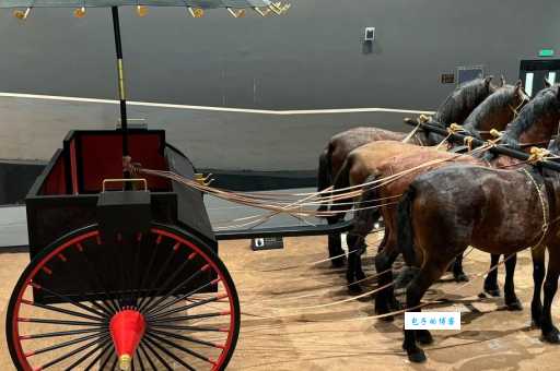 驷马的意思解释 古代四匹马拉车代表什么