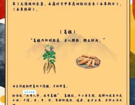 医时救弊的意思和出处 详细解析这个成语