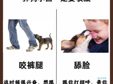 邑犬群吠是什么意思如何正确使用这个成语