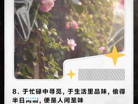 忙里偷闲的意思是啥？教你如何在忙碌中放松！