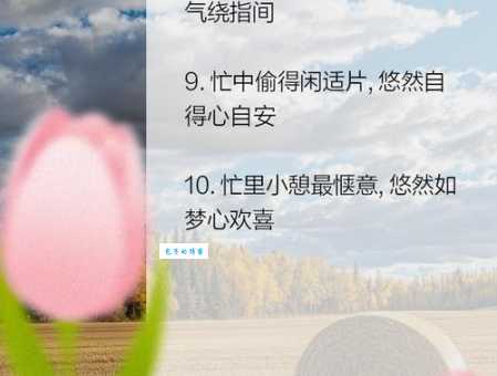 忙里偷闲的意思是啥？教你如何在忙碌中放松！