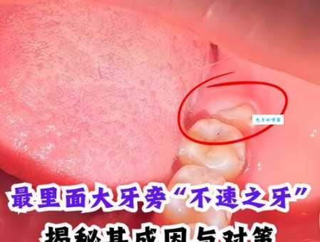 牙商是什么意思？深度解析历史上的牙商！