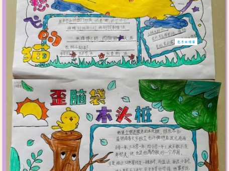 画报是什么意思?原来它有这么多用途!