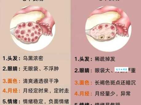 斑字怎么读是什么意思？一文搞懂它的来源与用法！