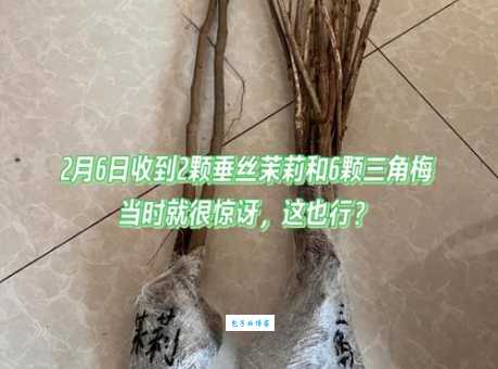 原来挂丝是这个意思！看完你就懂了！