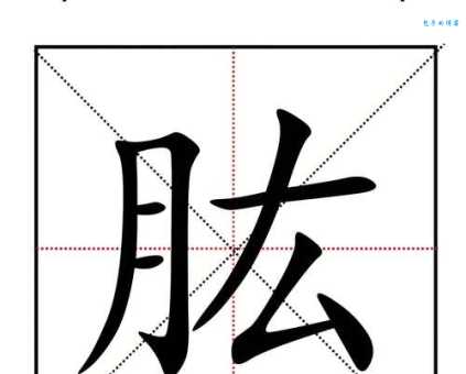 肢字怎么读是什么意思？正确发音和解析！