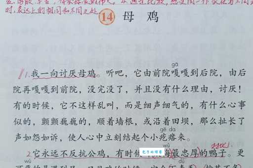 舅母是什么意思？一篇白话文给你说清楚！