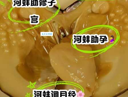 蚌壳是什么意思?一分钟带你了解它!