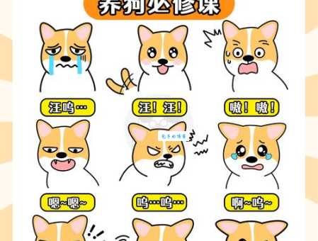 解读犬吠是什么意思?快速识别狗狗叫声的含义!