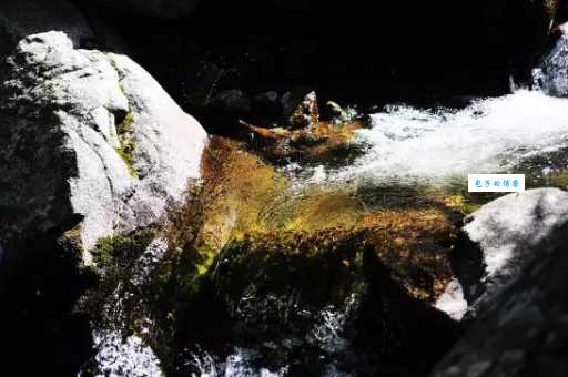 嶙峋是什么意思？原来是这样，别再搞混了！