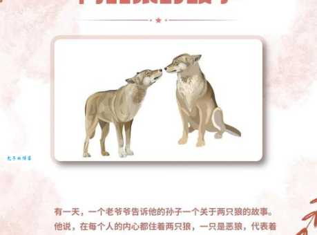 苍狼是什么意思？一篇文帮你彻底搞懂！