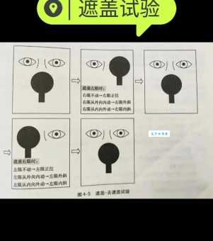 探究横遮竖挡的意思,原来是这样用的!