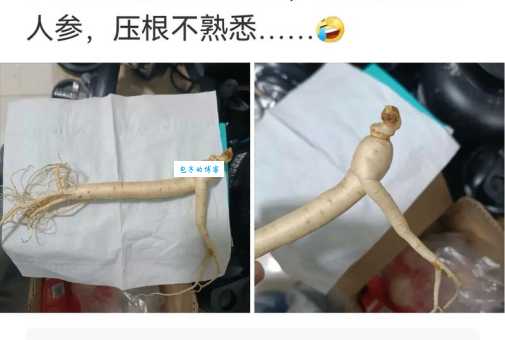 奇葩是什么意思？为什么现在大家都爱说“奇葩”？