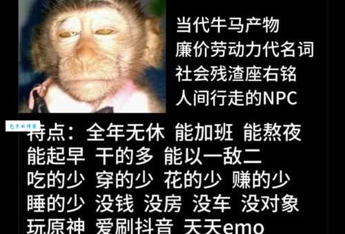 奇葩是什么意思？为什么现在大家都爱说“奇葩”？