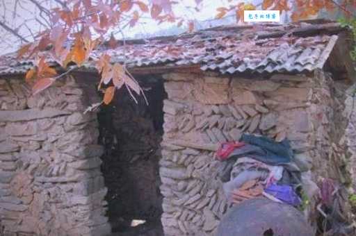 茅坑是什么意思？了解背后的文化内涵很关键！