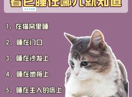 熟睡是什么意思？它和浅睡有什么区别吗？