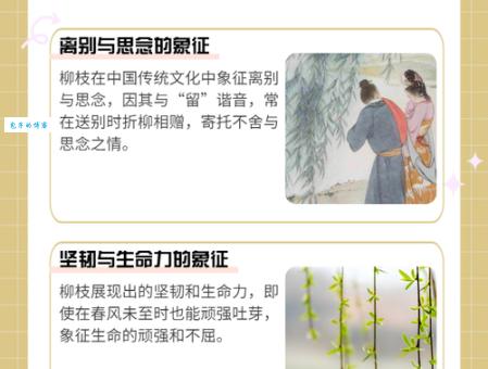 “折柳是什么意思”？不再困惑，一文带你了解典故。