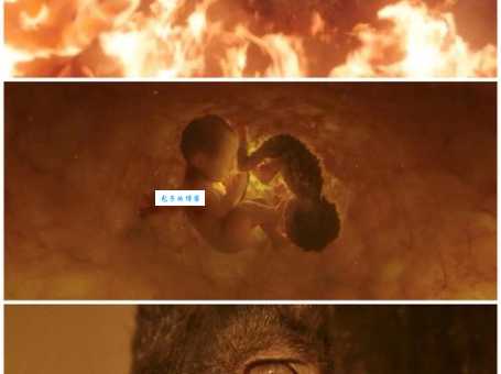 佛号中的娑婆诃[娑婆訶]是什么意思？答案在这里！