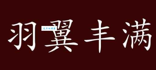 羽翼丰满的意思怎么用?这个成语别再用错了