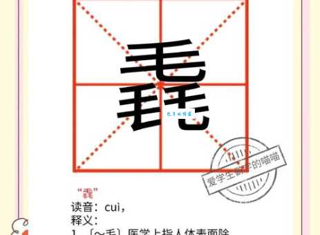 弄懂仔字怎么读是什么意思？看完这篇就明白了！