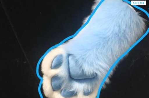 “爪牙之士”到底是什么意思?一分钟让你搞懂!