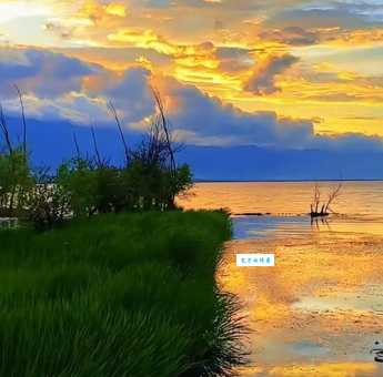 近在咫尺对什么情况？这三个场景用它最贴切！