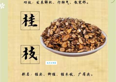 桂折一枝的意思是什么？原来是这样理解的！