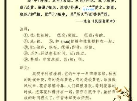 桂折一枝的意思是什么？原来是这样理解的！