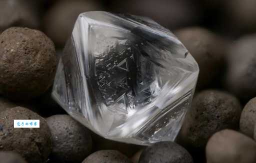 坚硬是什么意思？跟“坚固”又有什么区别？