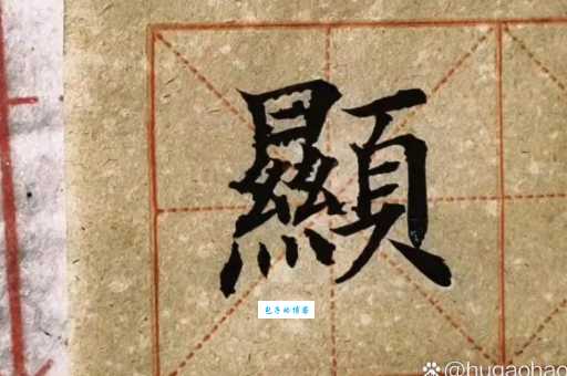 显字怎么读是什么意思?字典里这样解释!