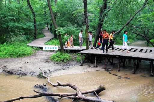 坪坝是什么意思？这个词背后有何深意？