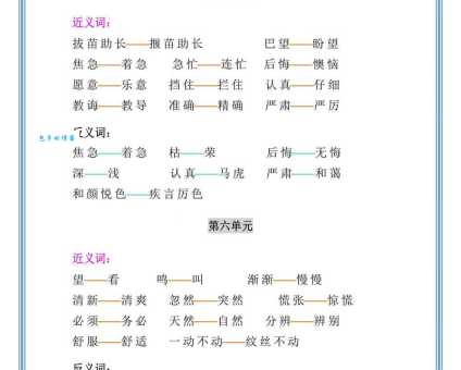 寻找呵护的近义词？这几个词帮你表达关爱！