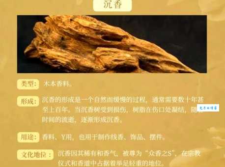 香气是什么意思啊？一文带你了解香气的奥秘！