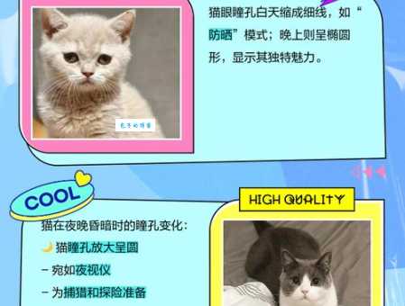 昨夜是什么意思?它和“昨天晚上”有区别吗?