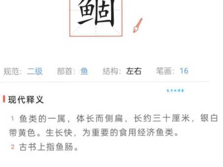 揭秘“粼粼是什么意思”，掌握这个词很简单！