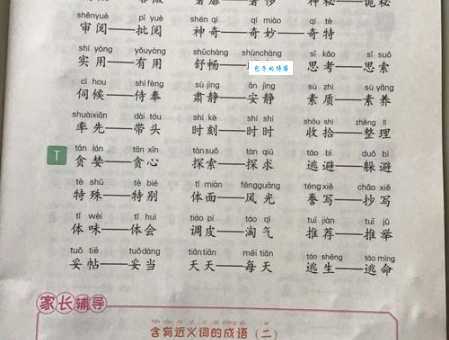 人人的近义词原来这么多！扩大词汇量就看这篇！