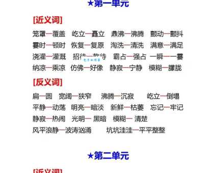 纯粹的近义词怎么用?教你轻松掌握词语运用!