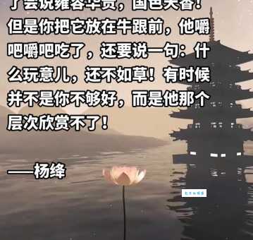 了解举世无双是什么意思,让你说话更有韵味!