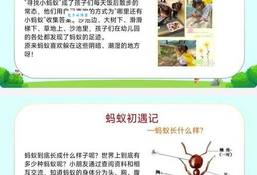 一文读懂小爬虫是什么意思?新手也能轻松学会!