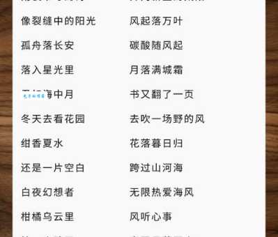 炫名是什么意思啊？简单几句话让你懂透透！