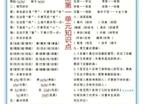 常用求医的近义词盘点，轻松掌握不犯错！