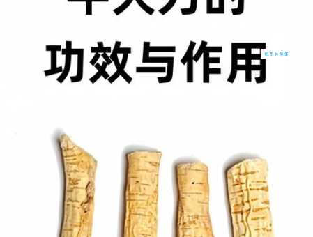 “大力”是什么意思？你知道它的多种含义吗？