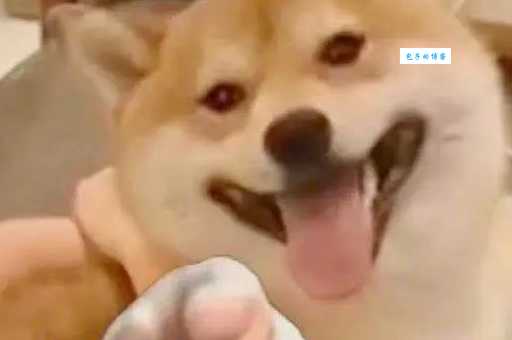 修勾是什么意思?原来大家都在说的就是这个梗!