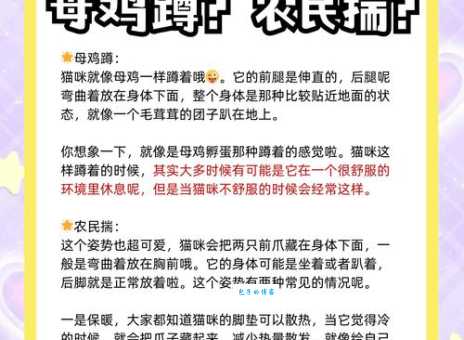 蹲蹲是什么意思？了解网络流行语的最新解释！